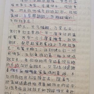 篮球训练感悟100字左右